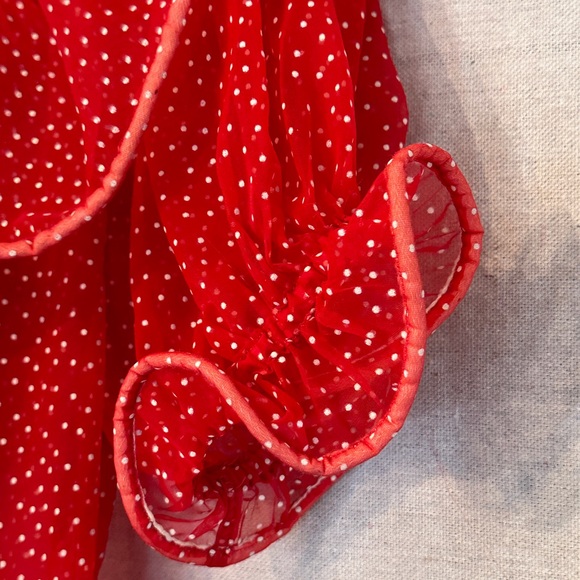 Vintage Red Sheer Polka-Dot Organza Flower Dress - Picture 4 of 5